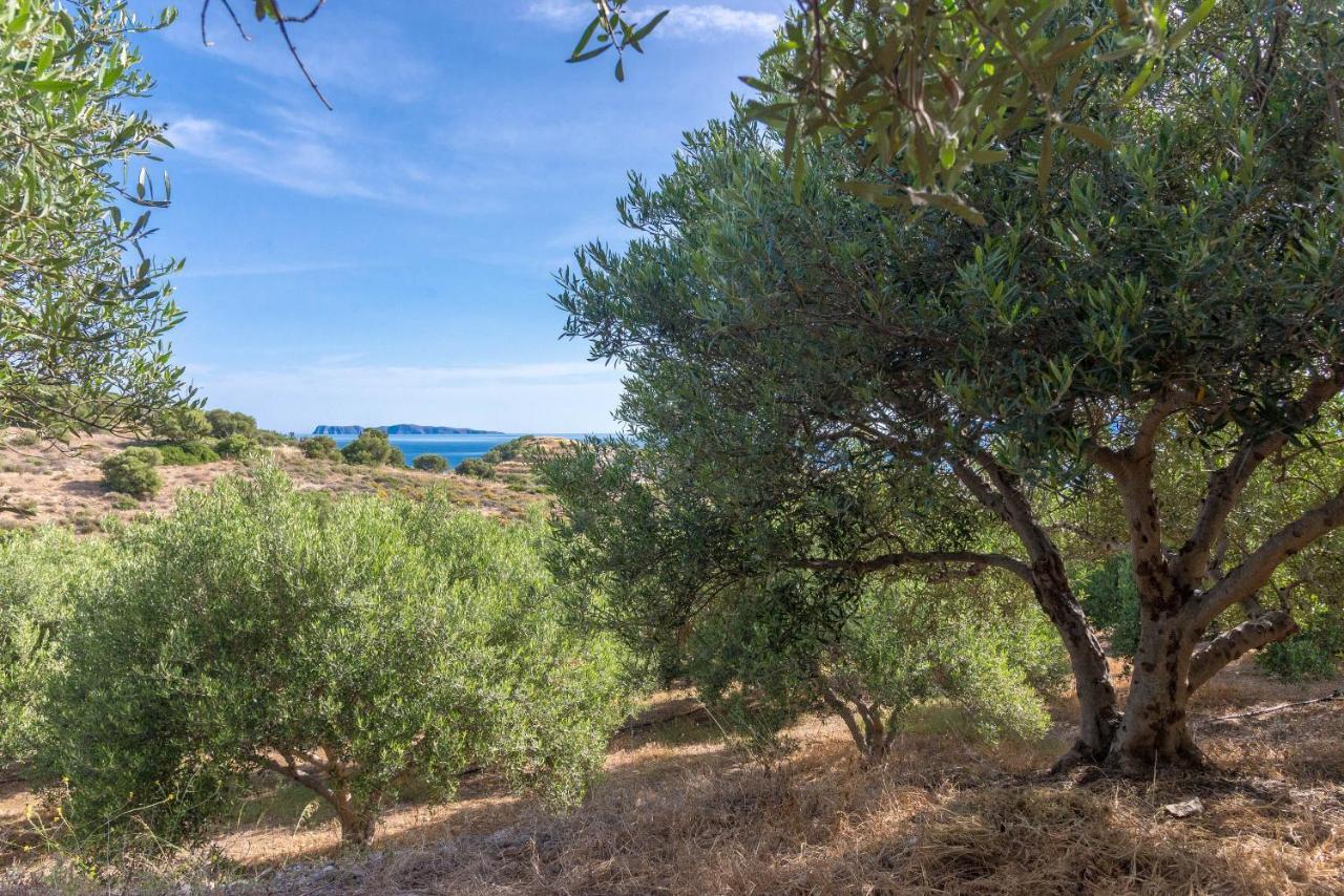 Villa Palma Sitia  Bagian luar foto